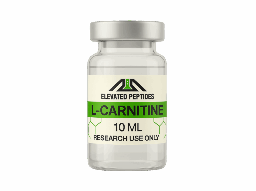 L CARNITINE 10ML